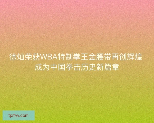 徐灿荣获WBA特制拳王金腰带再创辉煌 成为中国拳击历史新篇章 徐灿荣获WBA特制拳王金腰带再创辉煌 成为中国拳击历史新篇章