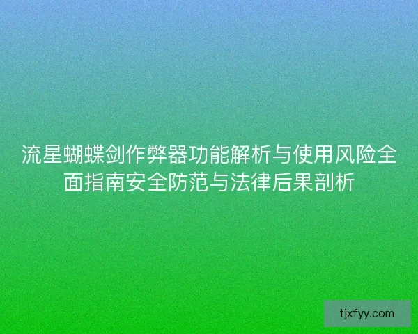 流星蝴蝶剑作弊器功能解析与使用风险全面指南安全防范与法律后果剖析