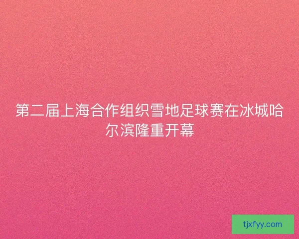 第二届上海合作组织雪地足球赛在冰城哈尔滨隆重开幕