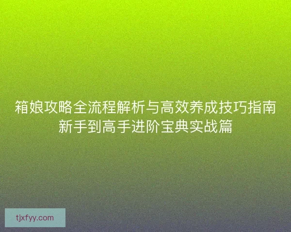 箱娘攻略全流程解析与高效养成技巧指南新手到高手进阶宝典实战篇