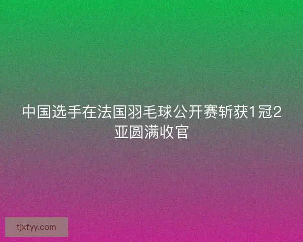 中国选手在法国羽毛球公开赛斩获1冠2亚圆满收官 中国选手在法国羽毛球公开赛斩获1冠2亚圆满收官
